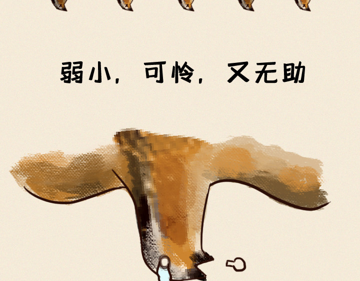 布洛分制造局 第8页