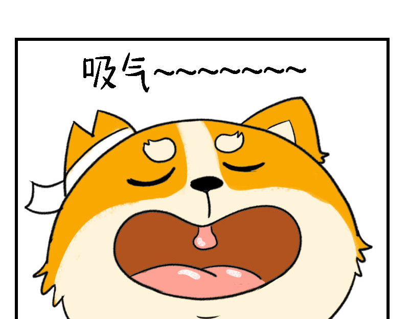 书单狗的异想世界 资深微胖人士的内心独白 第3页