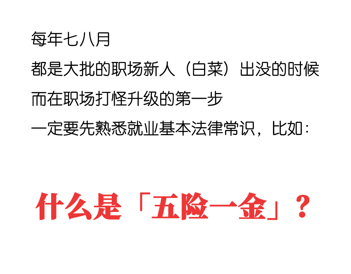 好苦鸭的日常（周二更新） 鸭鸭小百科一 第1页