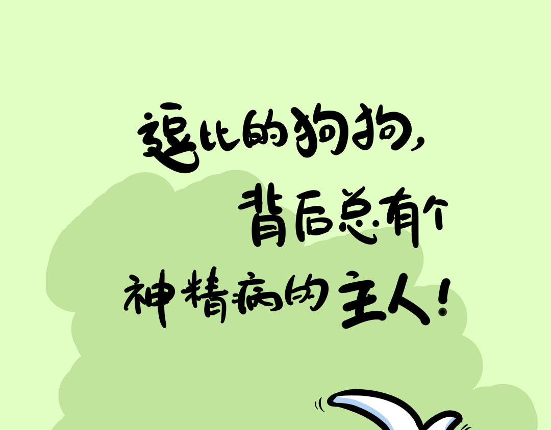 辛巴狗神经语录 神经3 第10页