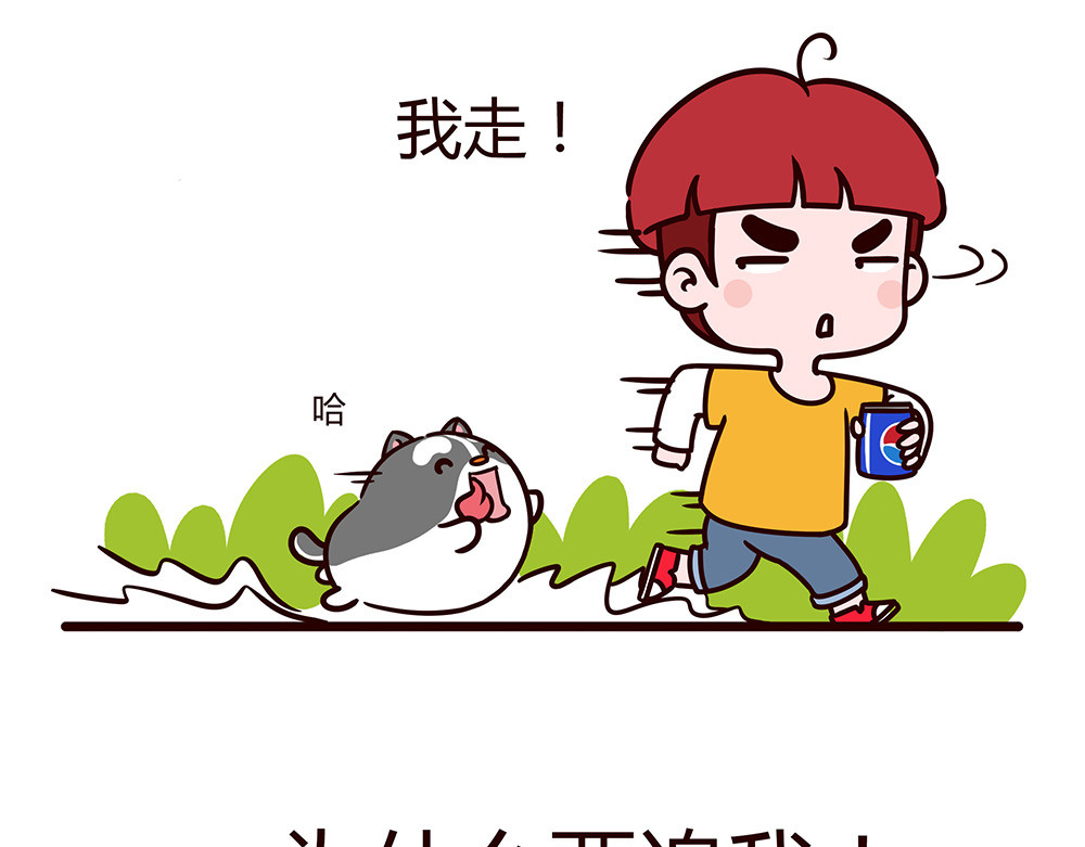 有家宠物店 美丽的邂逅？ 第22页