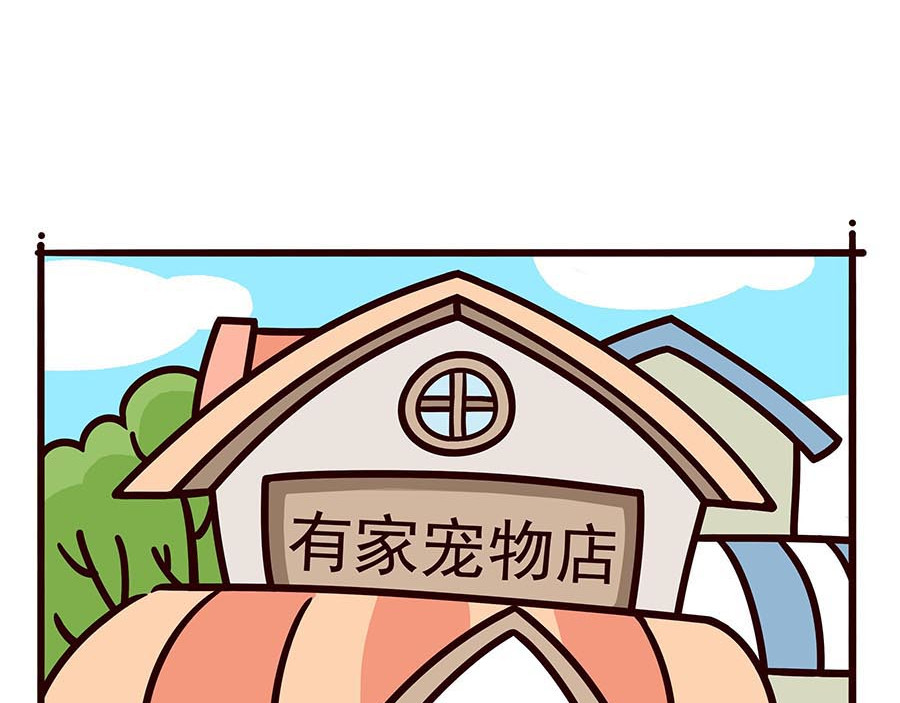 有家宠物店 不好的预感 第4页