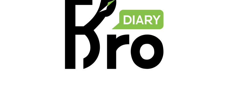 Bro日记 第四话 第2页