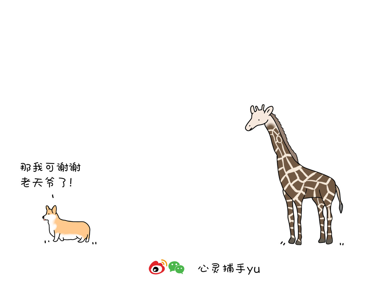 动物联盟 第6页