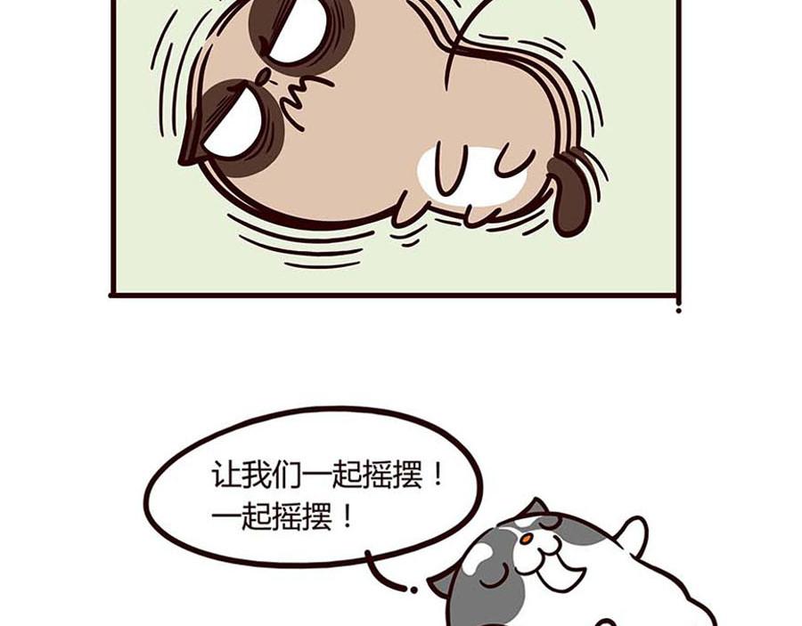 有家宠物店 我要睡觉 第19页
