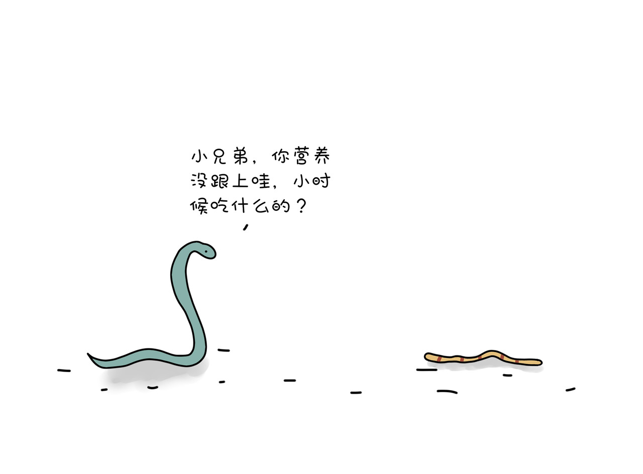 动物联盟 喜欢这个礼物吗 第25页