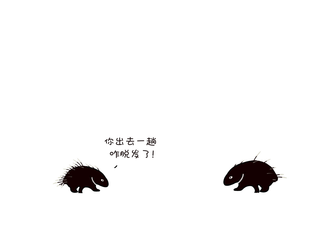 动物联盟 喜欢这个礼物吗 第5页