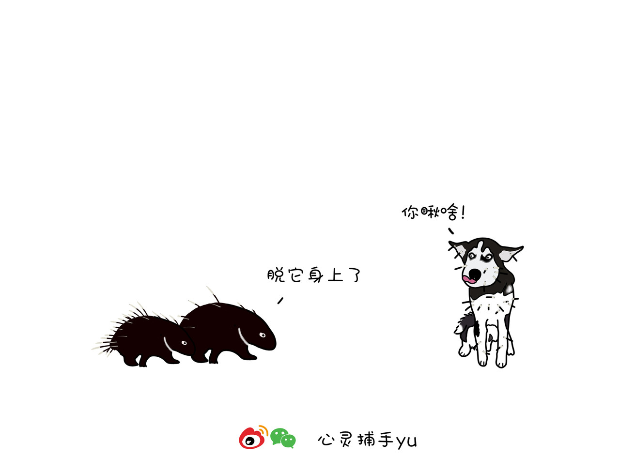 动物联盟 喜欢这个礼物吗 第6页