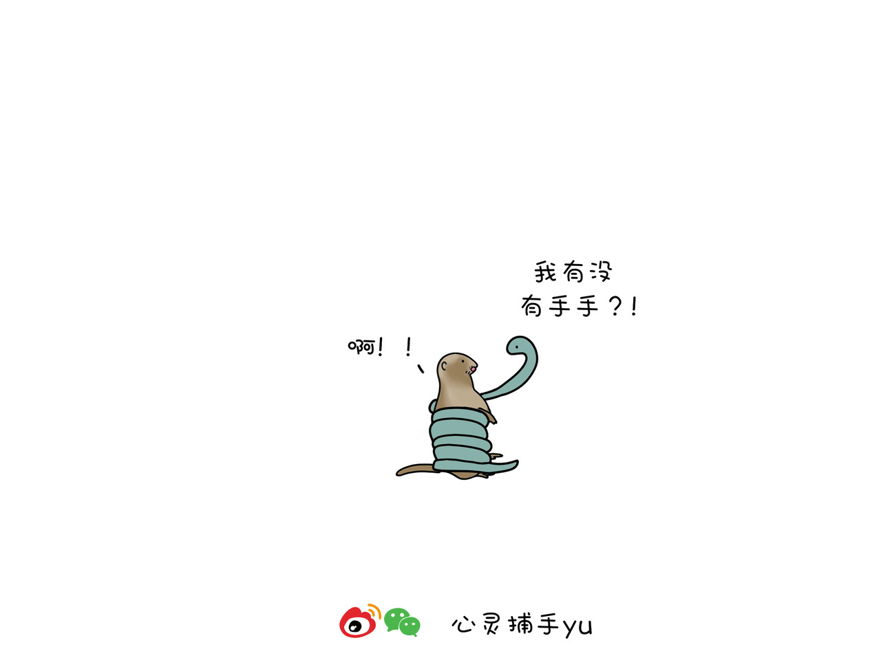 动物联盟 喜欢这个礼物吗 第10页