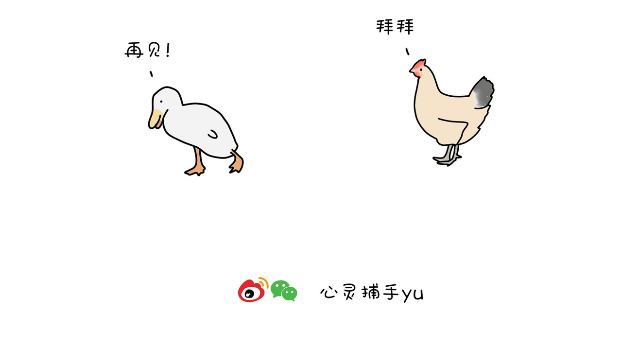 动物联盟 我的眼里只有你 第14页