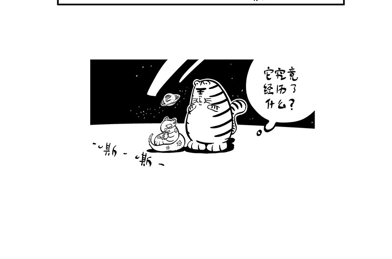 hello!蒲公英 名字2 第14页