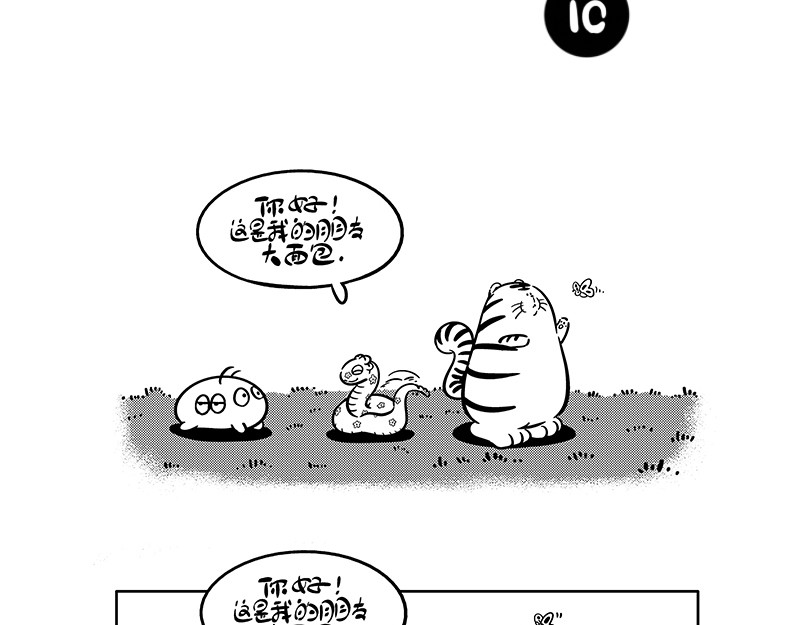 hello!蒲公英 名字2 第6页