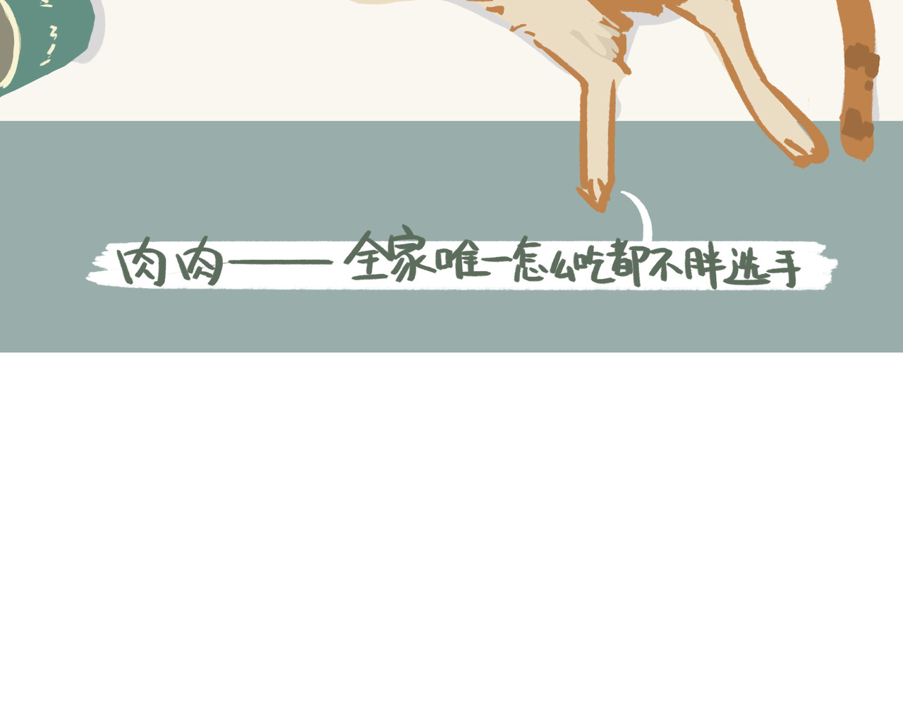 我才不会幸福胖 初见 第15页