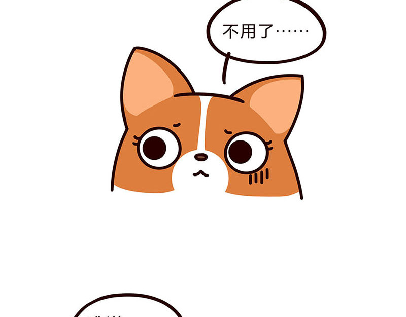 有家宠物店 05闭嘴--06自拍 第11页