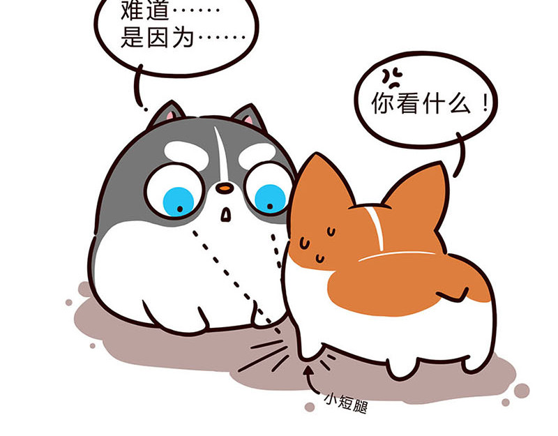 有家宠物店 05闭嘴--06自拍 第12页