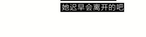 404档案 象皮珠子 第102页