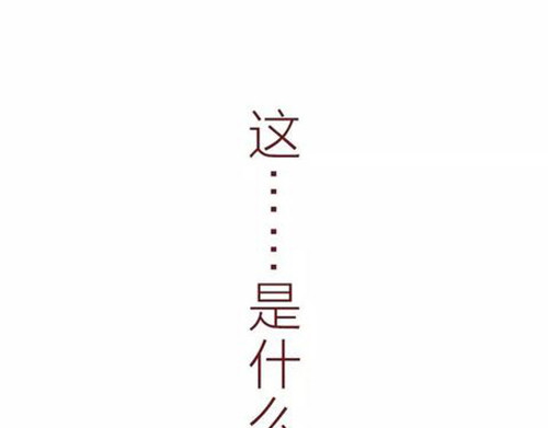 404档案 象皮珠子 第110页