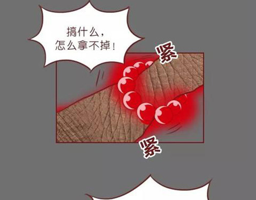 404档案 象皮珠子 第119页