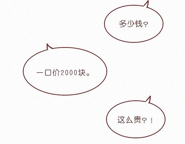 404档案 象皮珠子 第20页