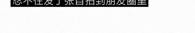 404档案 象皮珠子 第23页