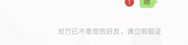 404档案 干尸症 第81页
