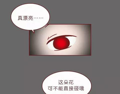 404档案 致幻曼陀罗 第56页