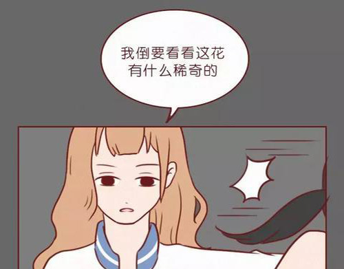 404档案 致幻曼陀罗 第75页