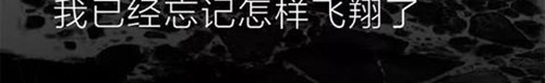 404档案 乖乖丸 第124页