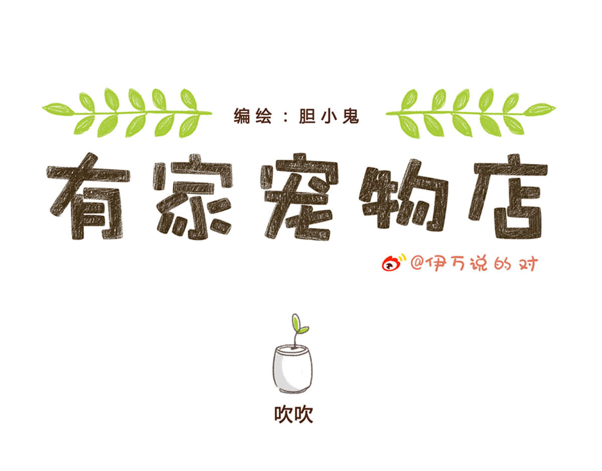 有家宠物店 你是我撩不动的崽 第1页