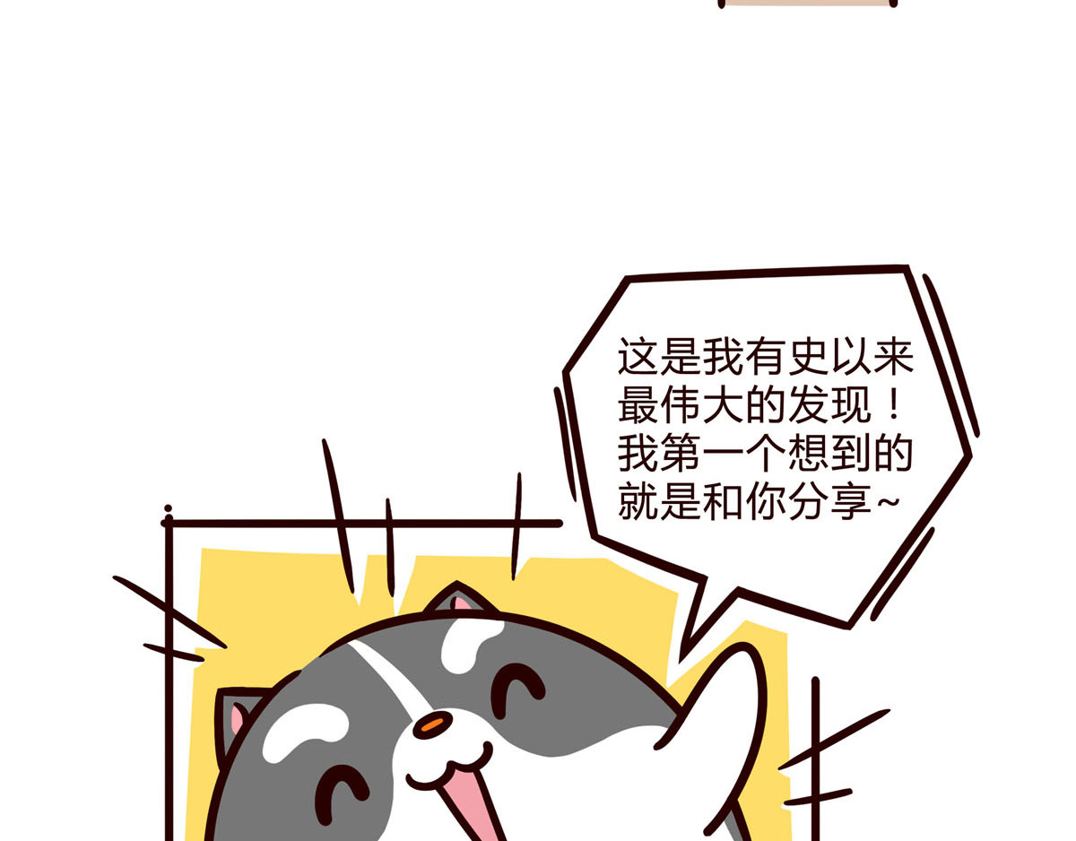 有家宠物店 你是我撩不动的崽 第27页