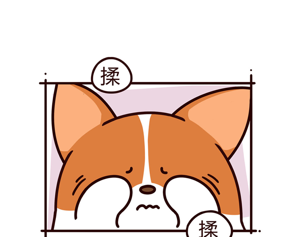 有家宠物店 你是我撩不动的崽 第4页