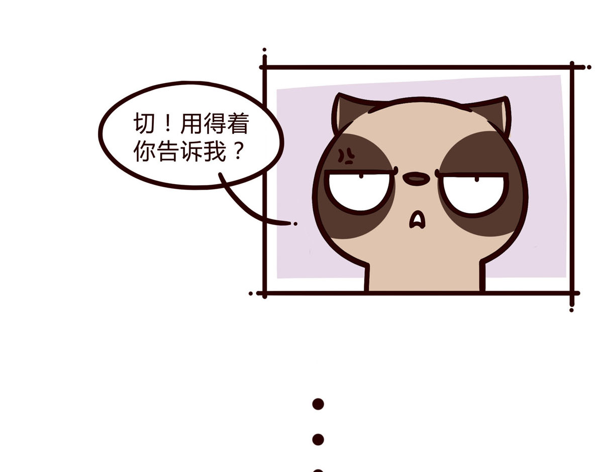 有家宠物店 你是我撩不动的崽 第33页