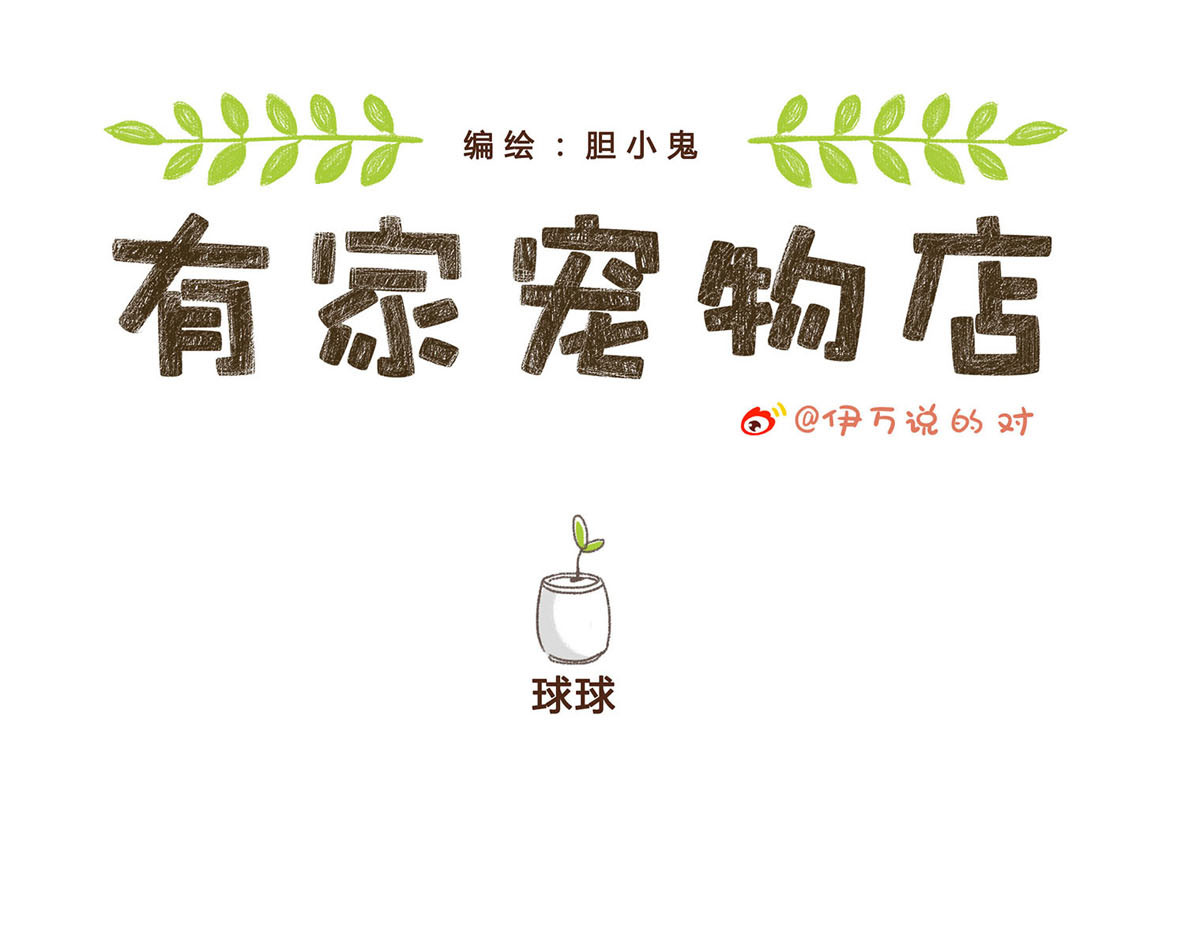 有家宠物店 你是我撩不动的崽 第36页