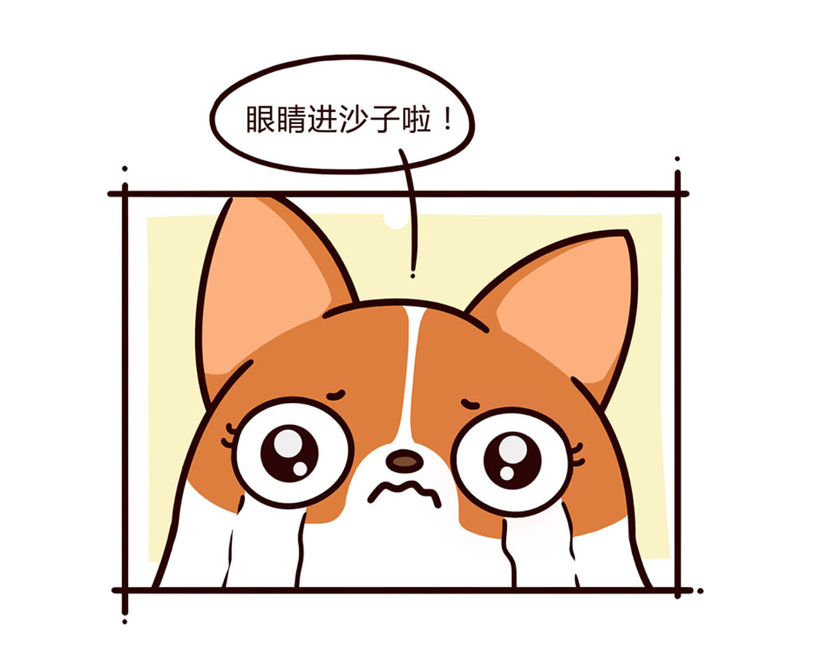 有家宠物店 你是我撩不动的崽 第6页