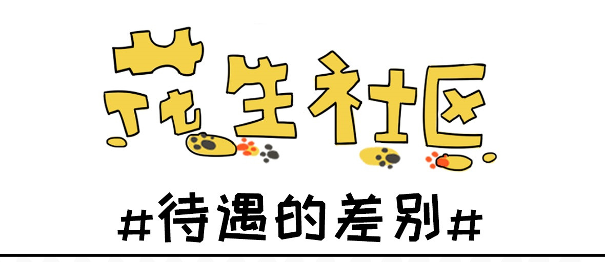 花生社区 第1页