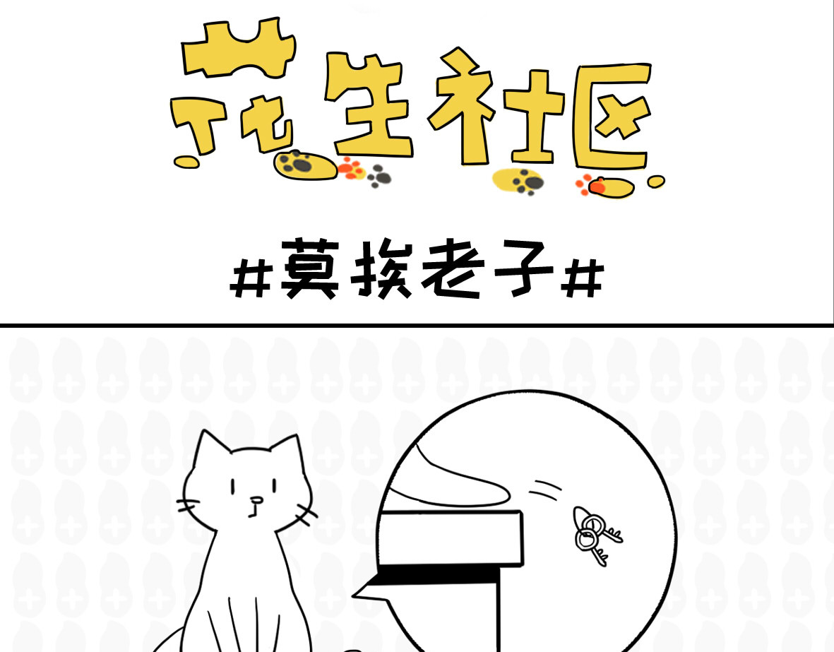 花生社区 第6页