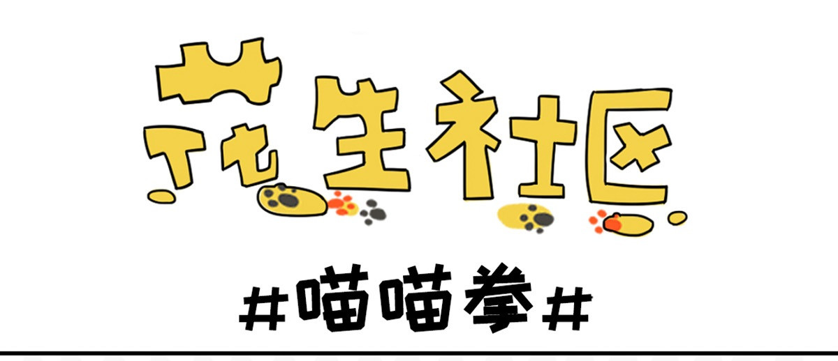 花生社区 喵喵拳 第1页