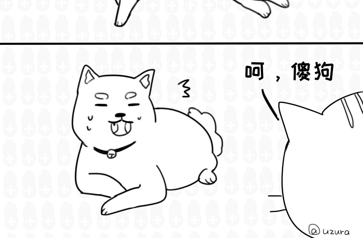 花生社区 你以为的猫狗双全是什么样的？ 第8页