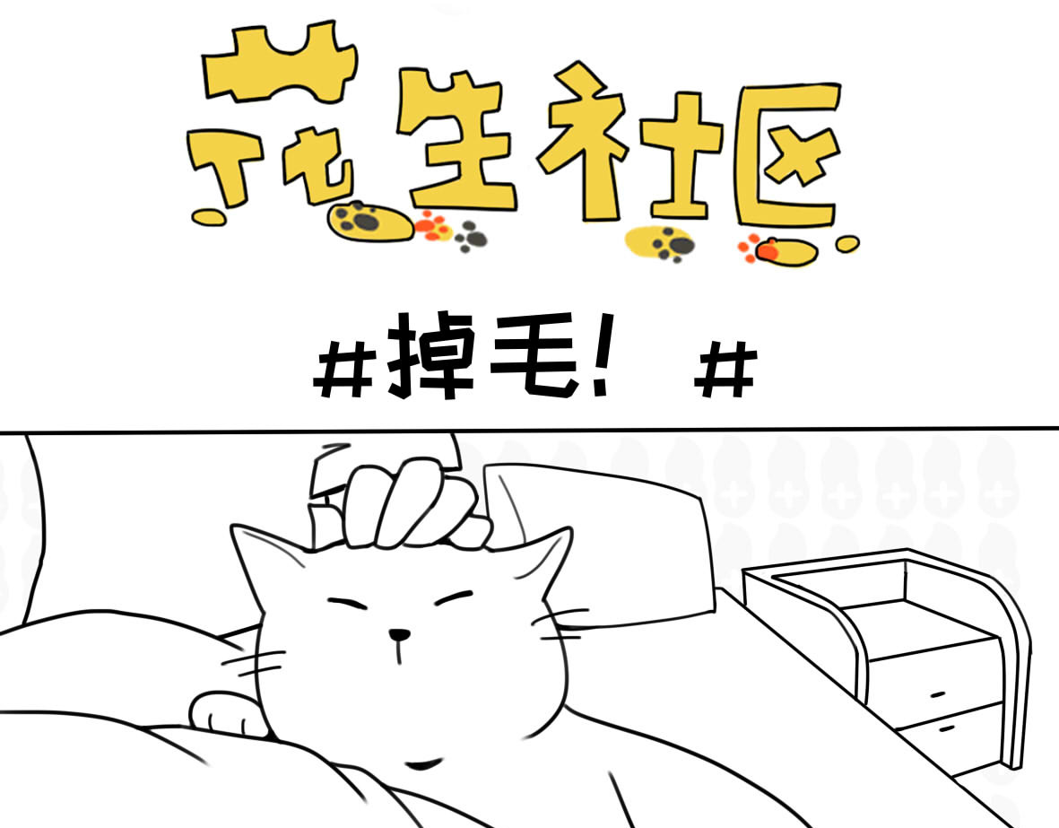 花生社区 有你陪我长大，就是最好的礼物 第5页