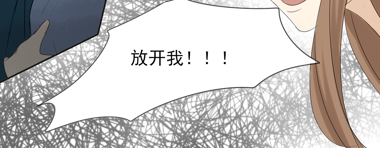 我嫁给了谁？ 第二章 我要离婚！！ 第11页