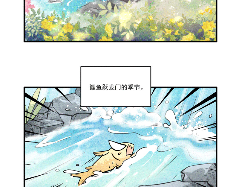 怪就怪呗 鲤跃龙门 第2页
