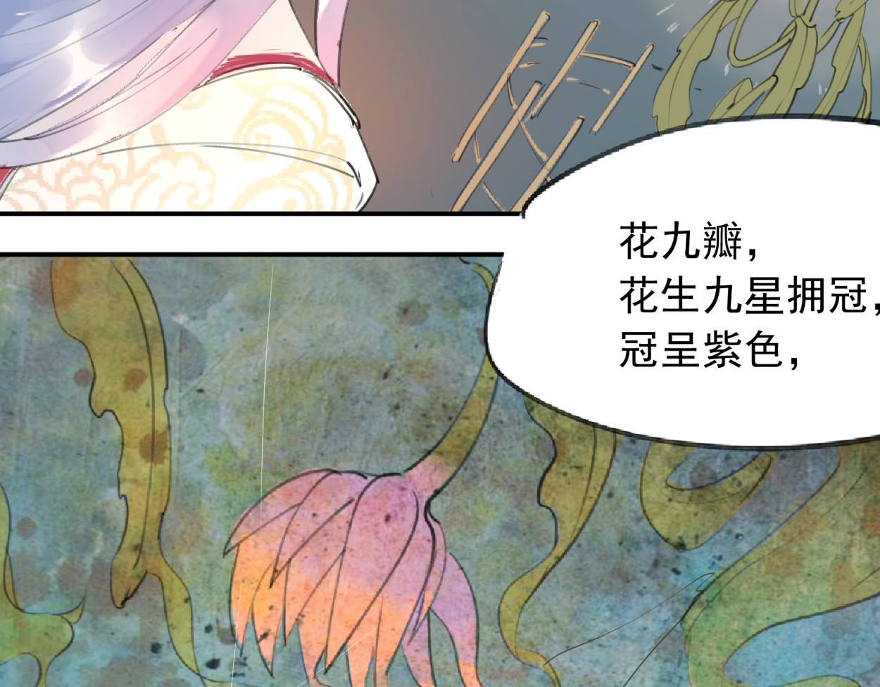 藏海雾 九星紫昙花·一 第47页