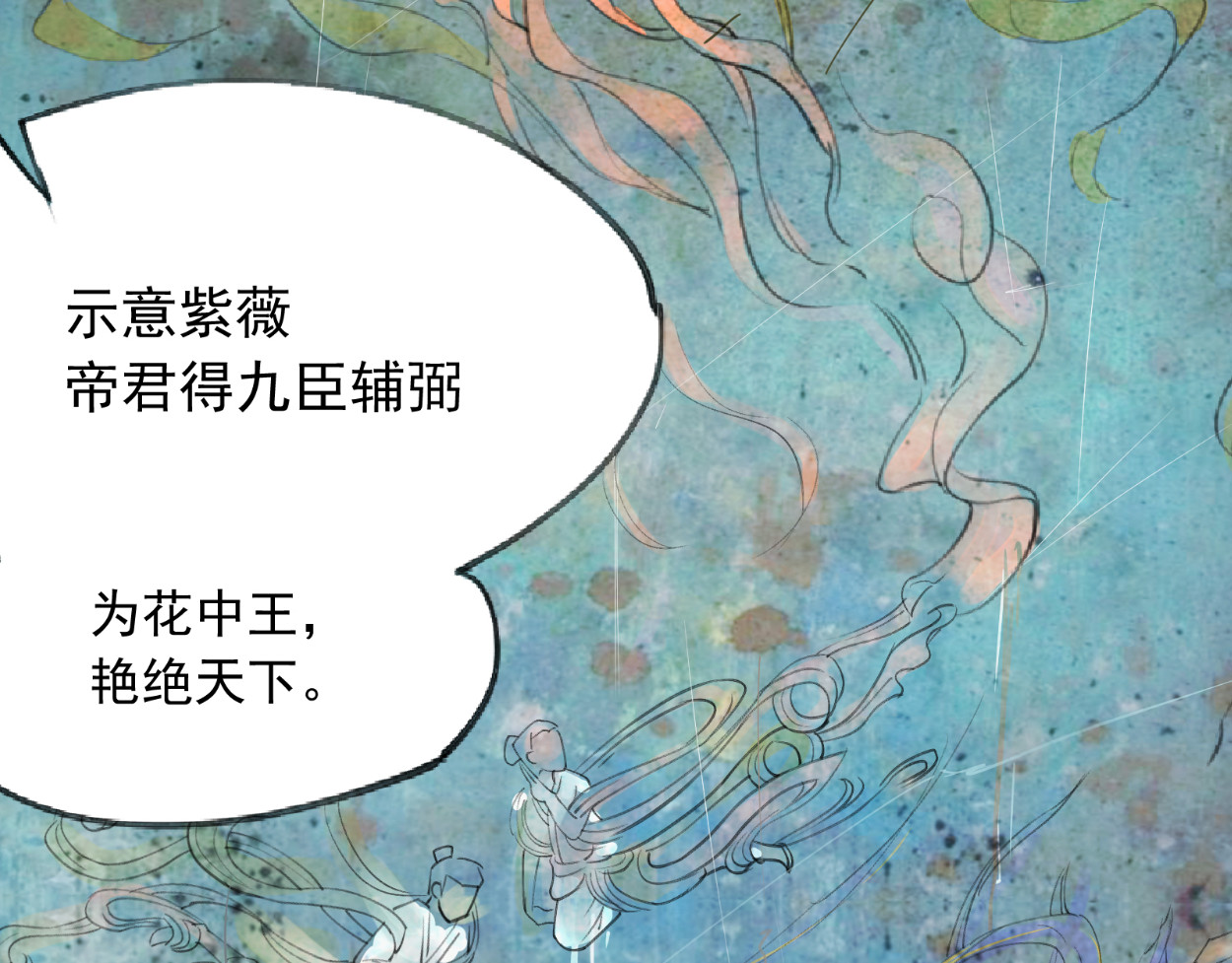 藏海雾 九星紫昙花·一 第48页