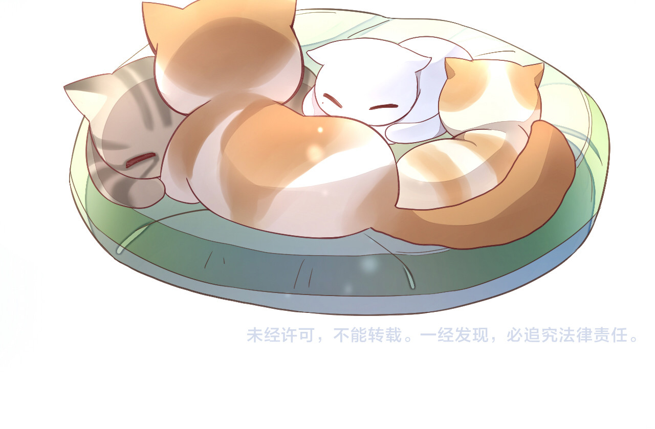 猫爪之下 第1话  猫主子驾到！ 第82页