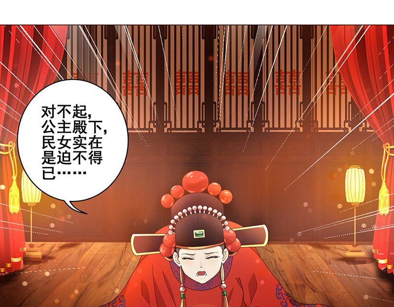 女驸马 洞房花烛夜 第29页
