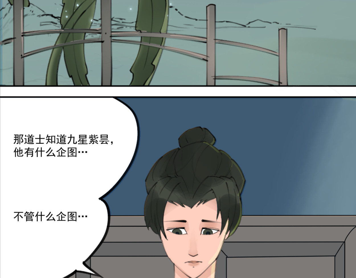 藏海雾 九星紫昙花·二 第11页
