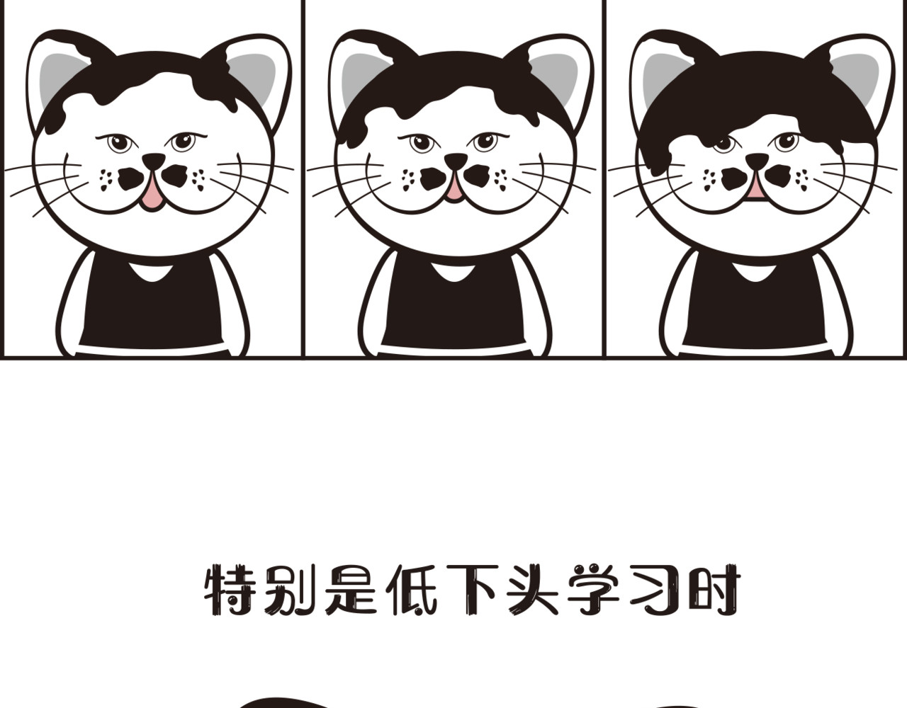 学霸猫Moni的大学生活 感觉自己头上有个niao窝 第2页