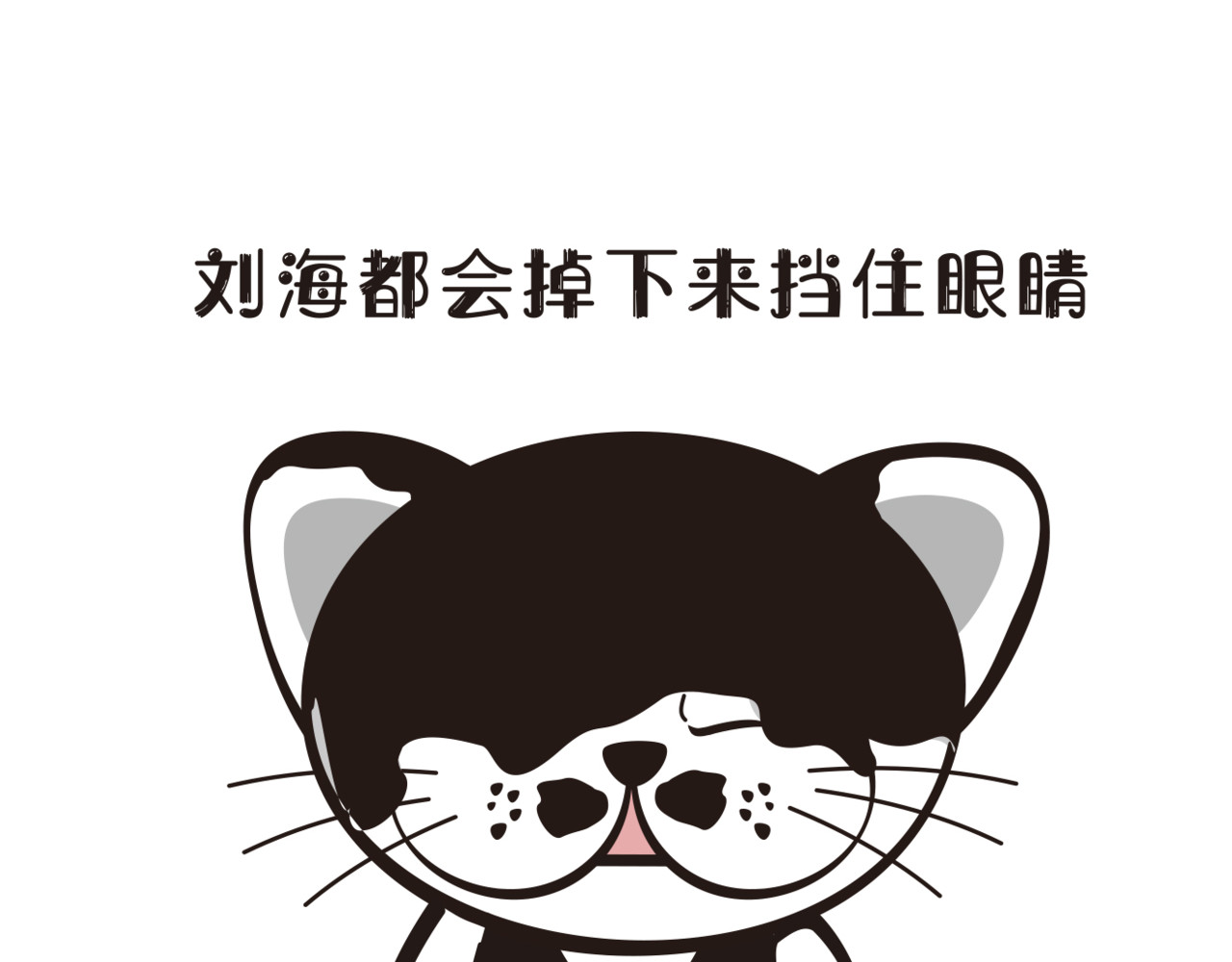 学霸猫Moni的大学生活 感觉自己头上有个niao窝 第4页