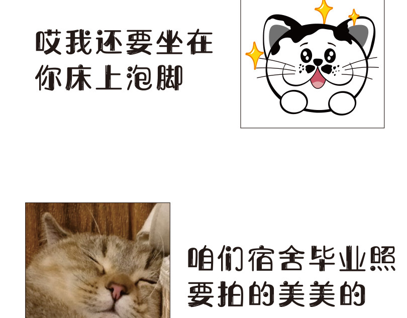 学霸猫Moni的大学生活 来看看本喵是怎么毕业的 第4页