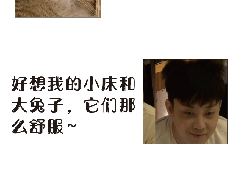 学霸猫Moni的大学生活 来看看本喵是怎么毕业的 第5页